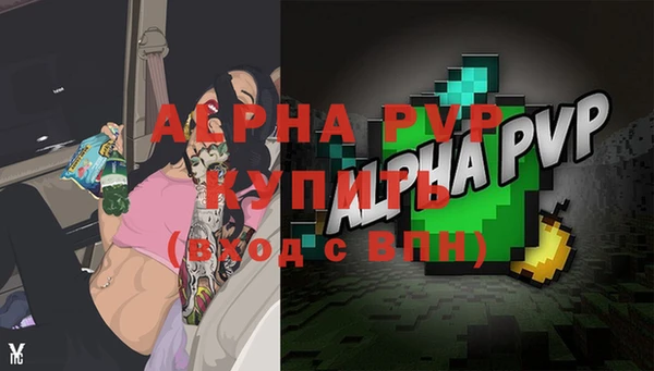 прущие грибы Белокуриха