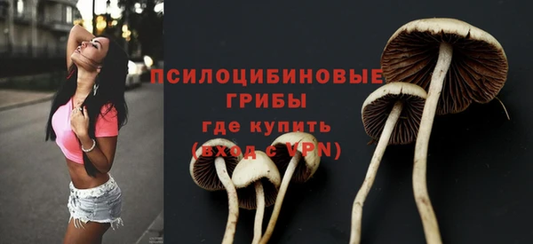 альфа пвп Богородицк
