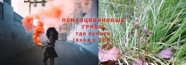 прущие грибы Белокуриха