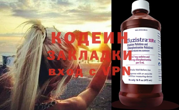 прущие грибы Белокуриха