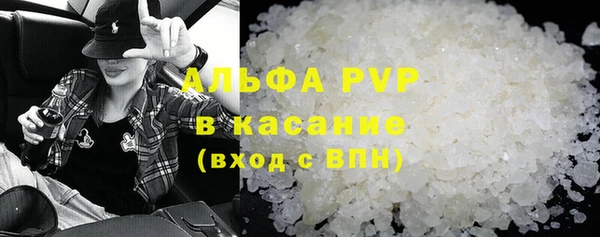 прущие грибы Белокуриха