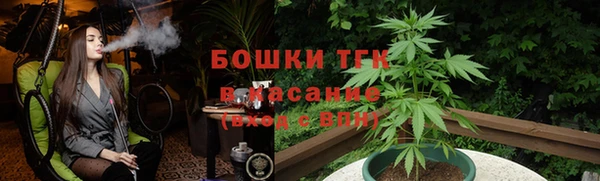 прущие грибы Белокуриха
