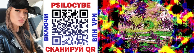 Псилоцибиновые грибы мицелий  Будённовск 